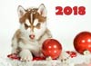 Вот и наступил 2018 год! Продолжаются новогодние каникулы.